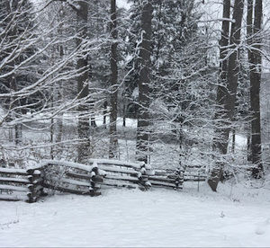 Meet your Posher, Sue